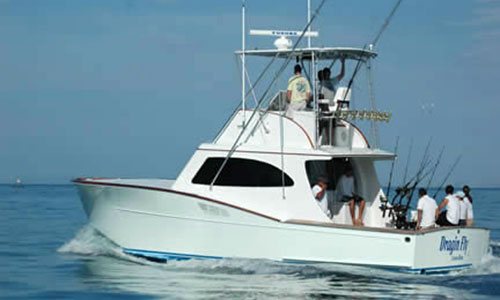 Dragin Fly - 43' Maverick