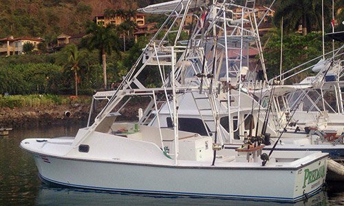 Predator - 28' Shamrock Express