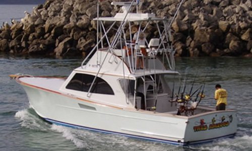 Tres Amigos - 38' Custom